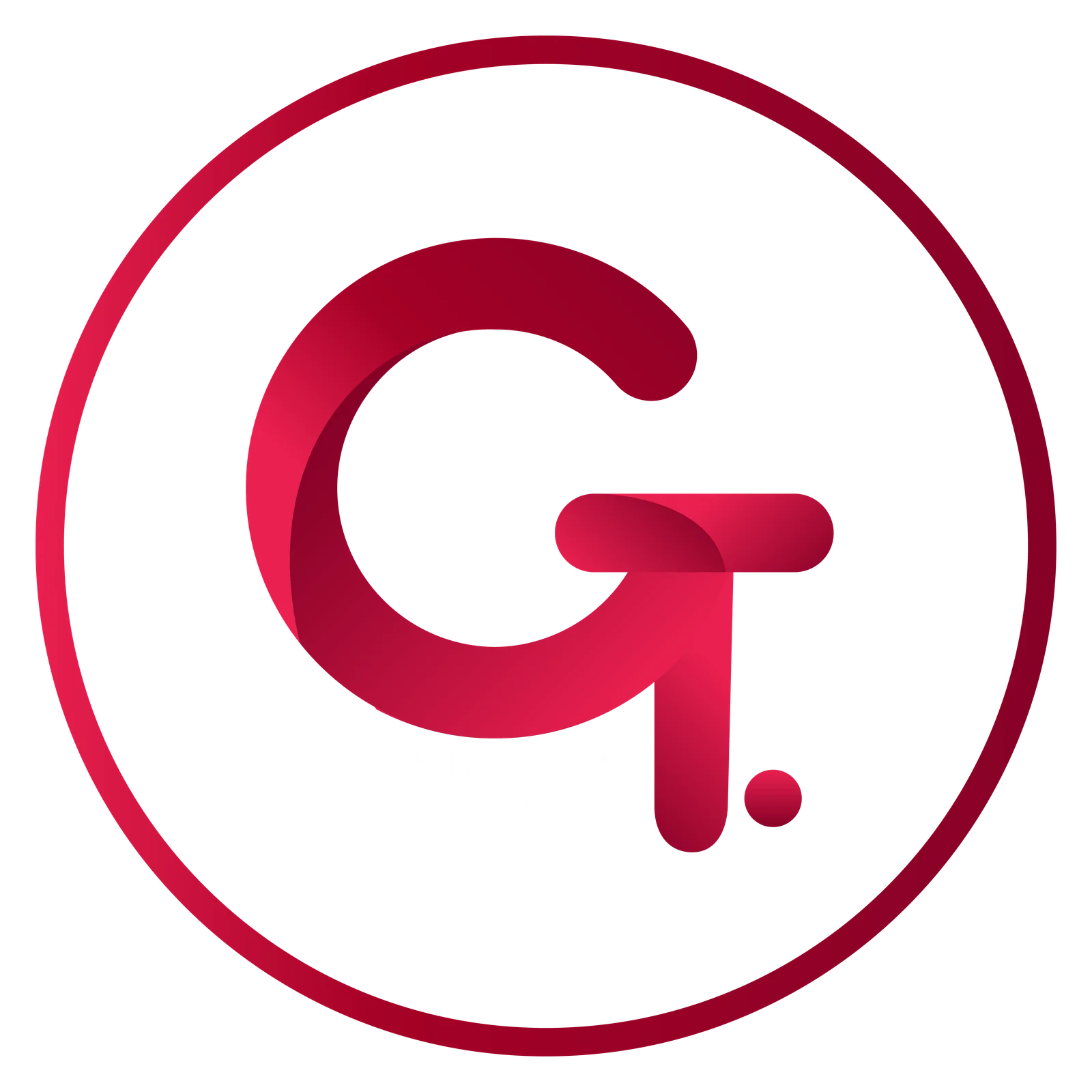 GT Solutions USA